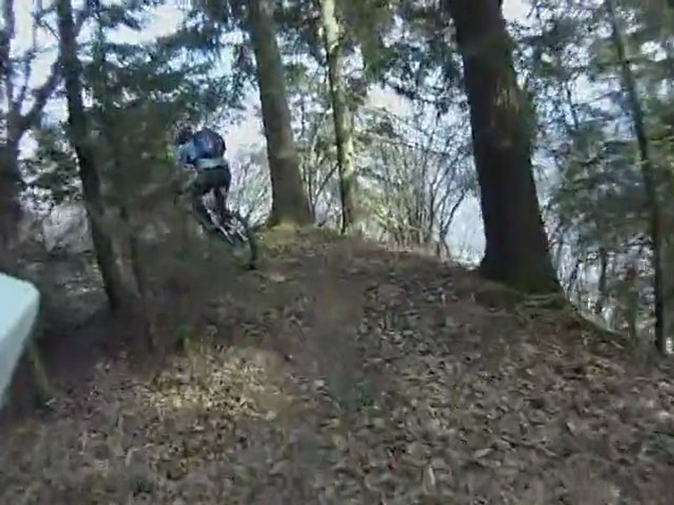 MTB Niederung