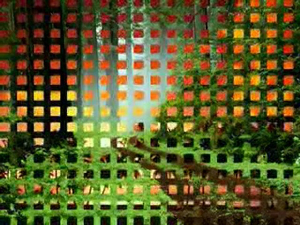 Joe Dolan - False Promises