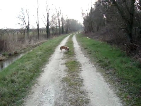 MOV01767 folk stop assis 3mois et demi