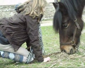 Leur vie , Leur monde , leur bonheur ...♥