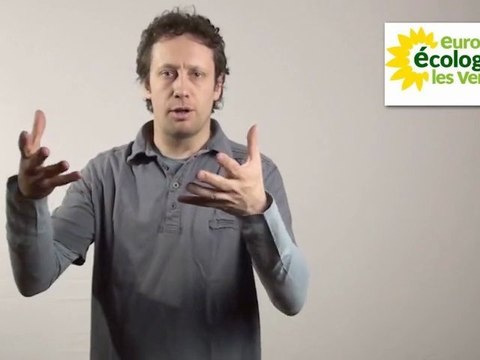 programme EELV 31 cantonales 2011 - 4