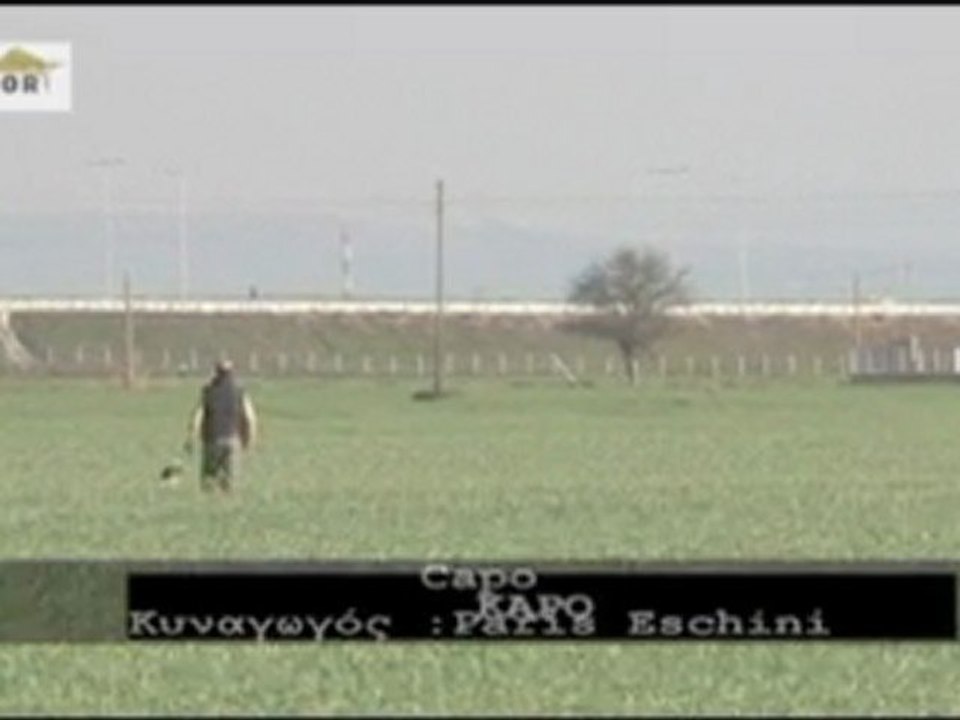 2011 Enternasyonel Setterleri