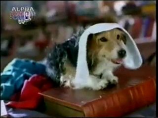 NEW YORK KNICKS-WASHINGTON WIZZARDS 93-91 8/8