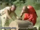 Shaolin los testiculos hierros