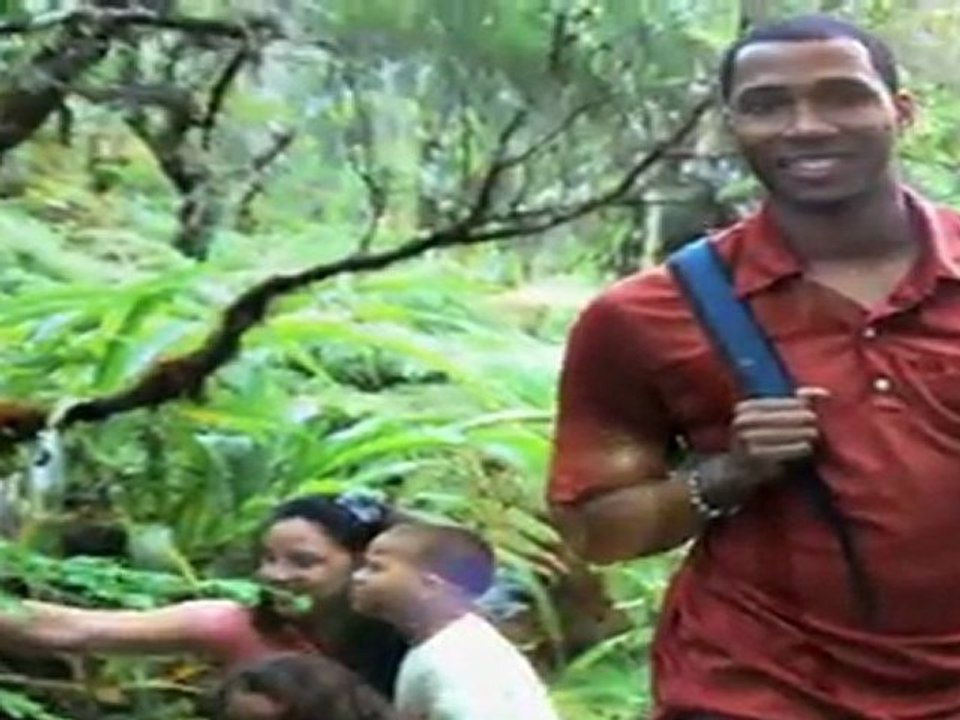 L'Ile de la Réunion Tourisme, Reunion Island Tourism Board