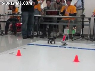 Robot Race! DASH 2000 at the Wonderful Robot Carnival 2011
