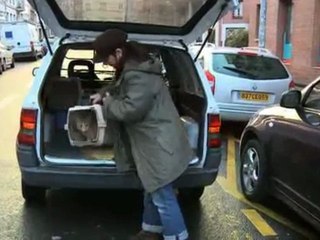 Garde animaux - Lille animal services