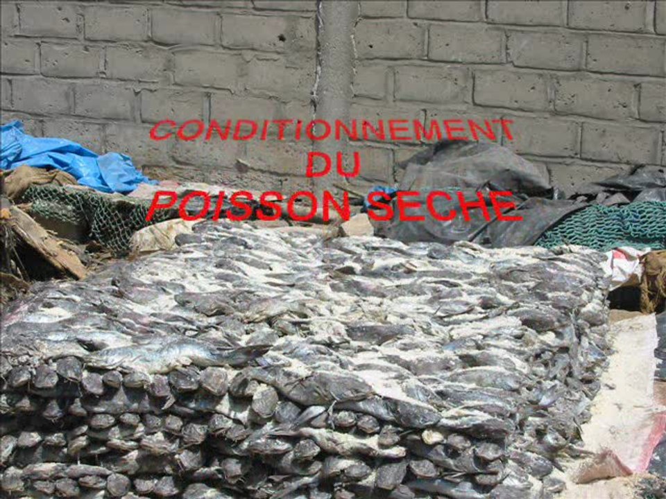 PHILIPPE NOUVIER(video et musique) ASSOCIATION AFRIQU'HANDI- DIJON:l' Ecole du Petit Prince