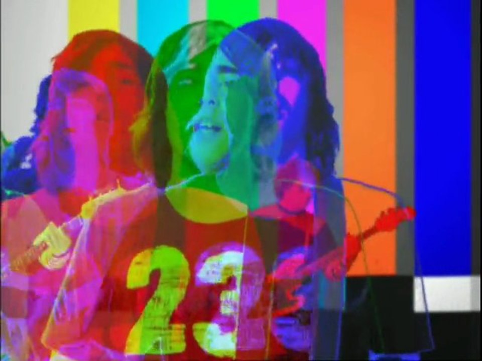 THE BLUESKINS “Stupid Ones” (2004)