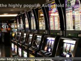 Aces and Faces 100 Play Video Power Poker Review