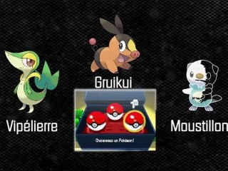 Pokémon version Noire et Blanche - New Video FR