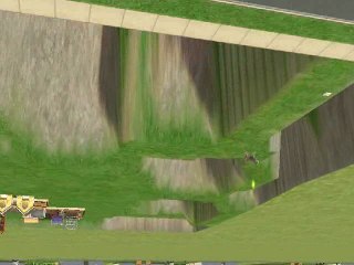 jeux de chiens(dans les Sims 2)