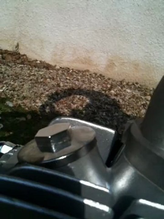 buit soupapes dax 125cc newteam