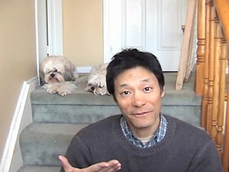 Motivational Videos Survey Results Plus Success Tip