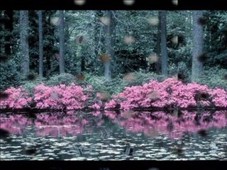 Esra Hasretinden yandı gönlüm..