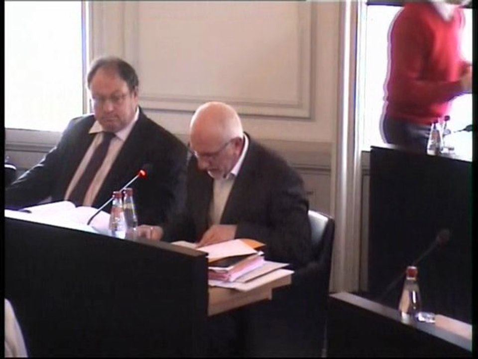 Budget Primitif 2011 - Session du 10 fevrier