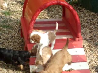 découverte de l'extérieur