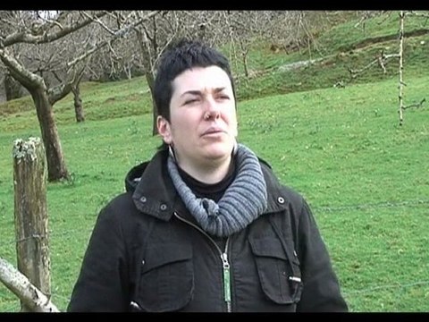 Elkar Sarea (Euskal Herria)