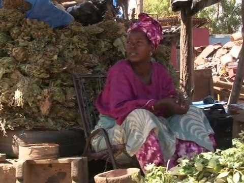 International Microfinance Awards 2010 Paris Prix Santé