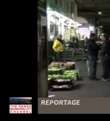 Video fake - Mercato Corso Sardegna