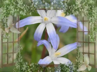 C'EST QUOI CA ? C'EST UN MOINEAU ....