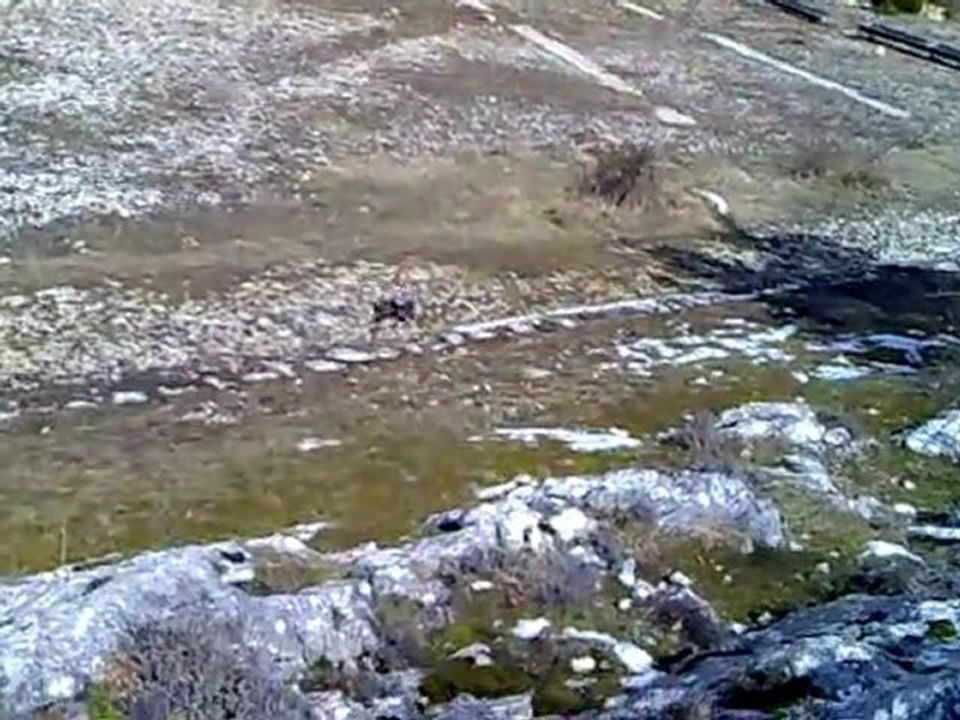 video 2