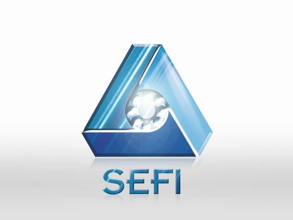 GROUPE SEFI - TRANSMISSION MECANIQUE ET MAITRISE DES FLUIDES