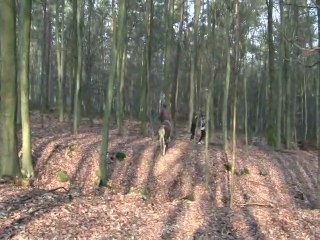 On est fou, oui mais comment ne pas le devenir..?