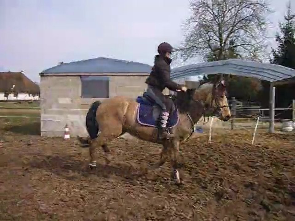 enchainement d'obstacle