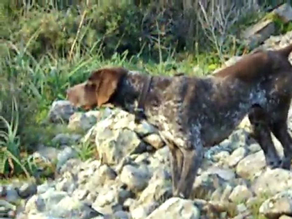 Av fotoğraflarım 009_clip0