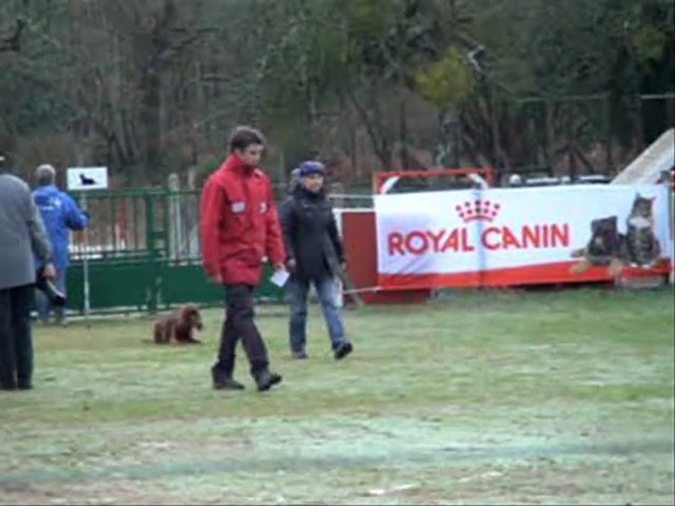 concours obéfévrier2011_0002