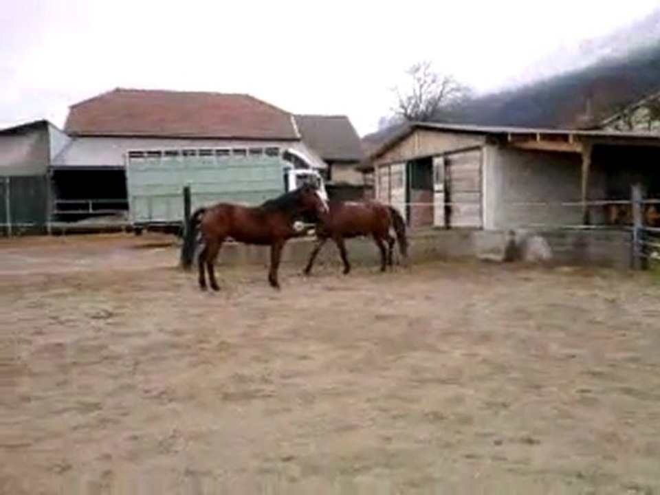 SPIRIT DU TIJAS ET RELLY ANN