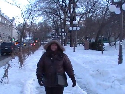 CANADA Fév. 2011 - Petit coucou de Québec