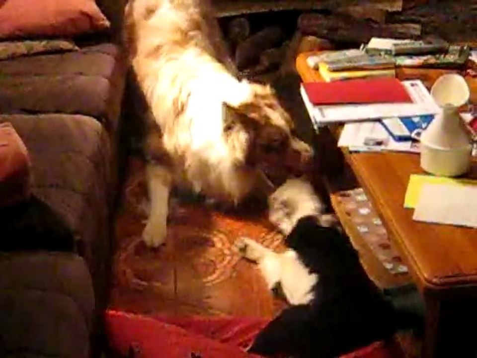 video lutte 2 dimanche