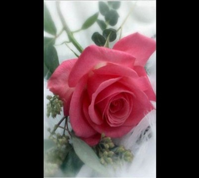 BEHİYE AKSOY-VİRAN OLAN KALBİMDE SEVGİLİMİ ÖZLEDİM