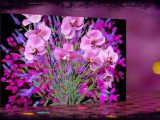 doğum günün kutlu olsun