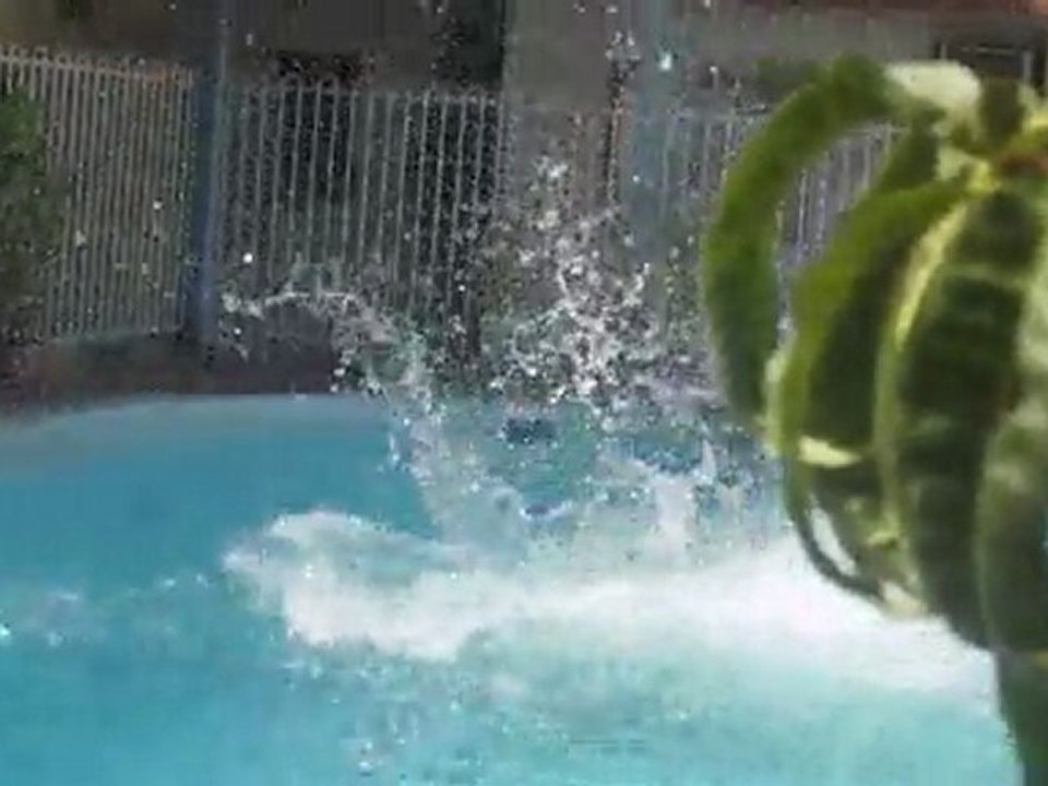 jump