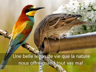 Une belle leçon de vie.