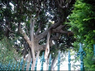 ©MONACO LE CHATEAU DE NUIT N°2 © MARTINE ANCIAUX© TELEVISION