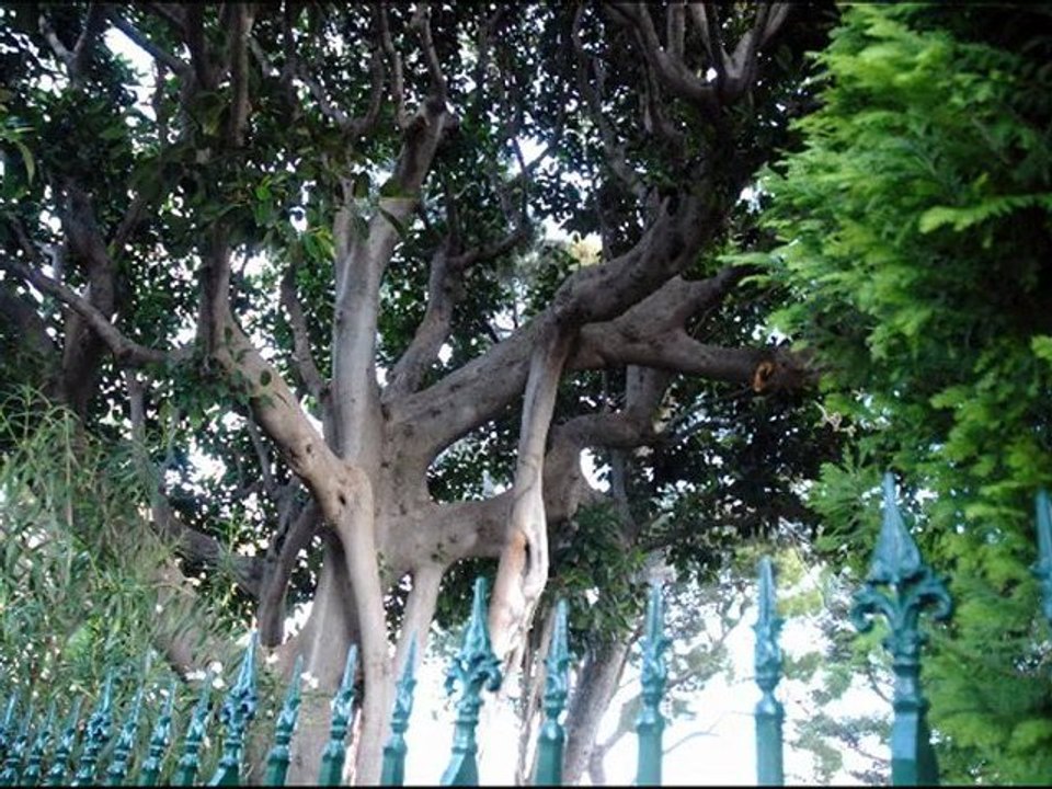 ©MONACO LE CHATEAU DE NUIT N°2 © MARTINE ANCIAUX© TELEVISION