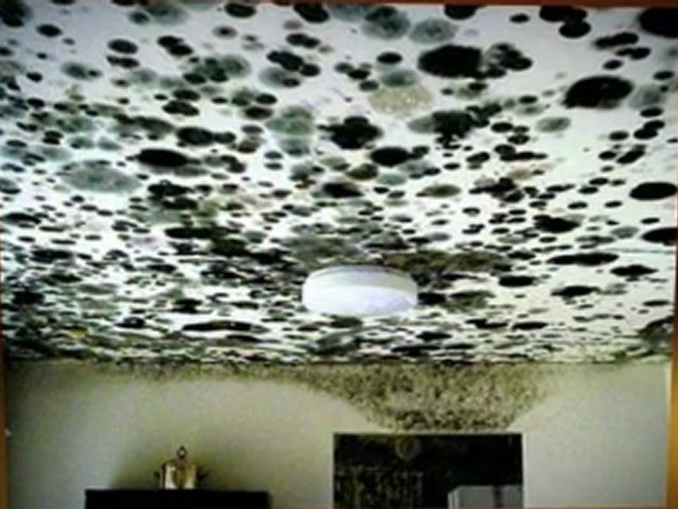 Fire and Water Damage Harker Heights