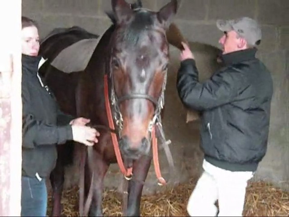 Maure-de-Bretagne 27022011