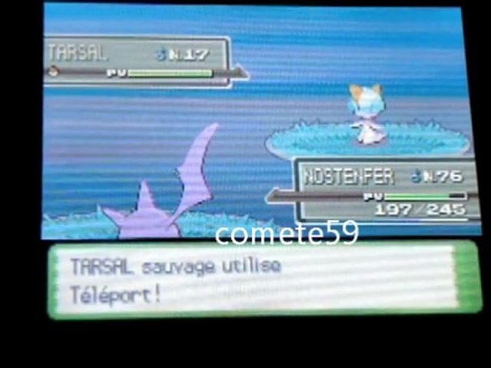 herbe shiney et capture tarsal shiney