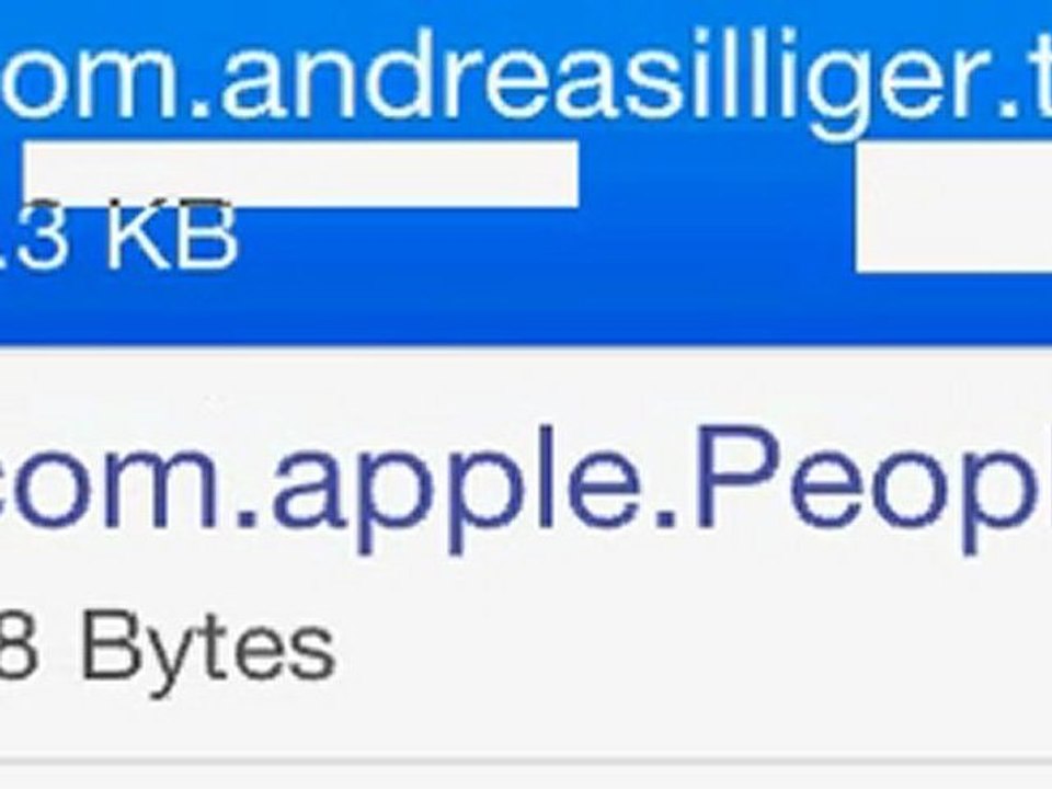 How to hack the app Tiny Wings on iPod Touch_ iPhone or iPad