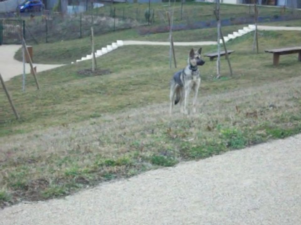 Ma princesse qui revient de loin