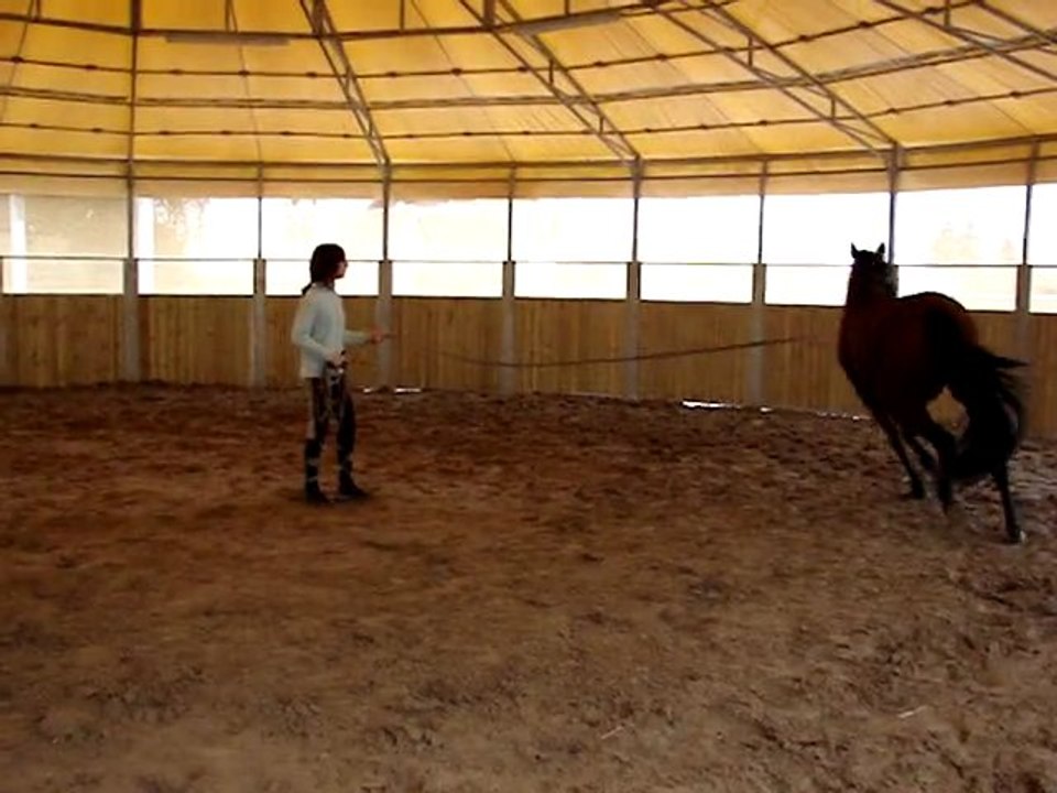 Première fois à la longe avec Merry.. ♥