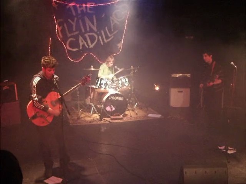 The Sheep Shaggers : Gold Rush