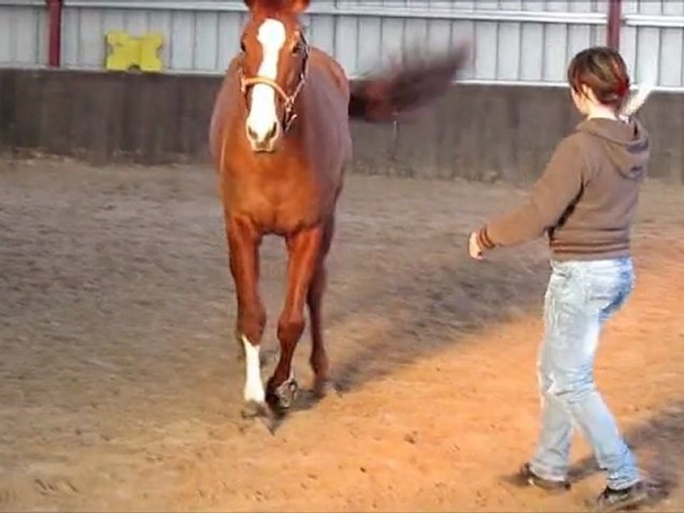 Qalif, travail en liberté