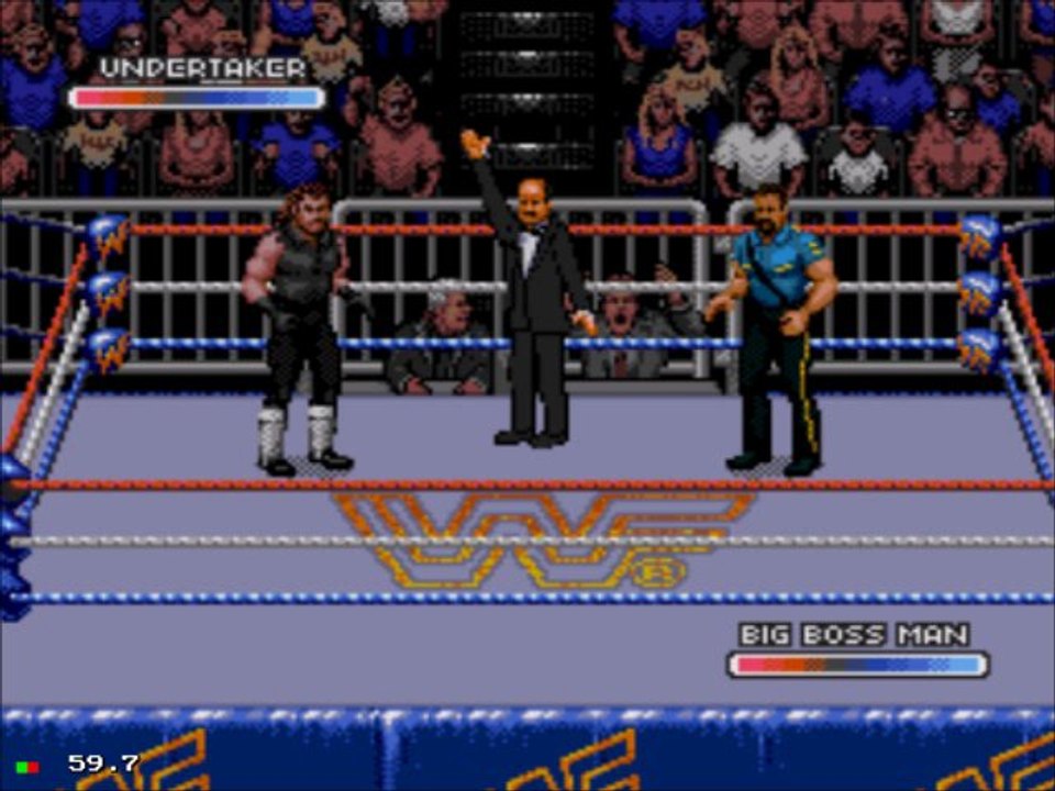 WWF Rage in Cage