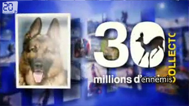 Friday sport - les animaux c'est pas mignon